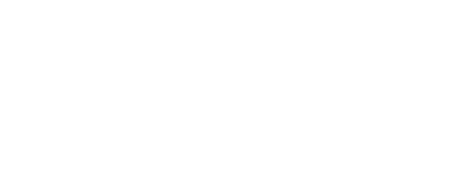 Burmese News